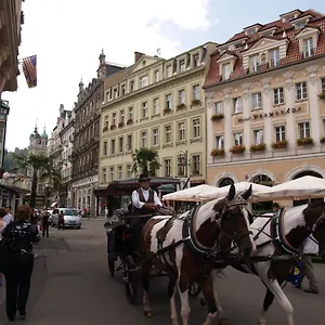 https://apartment-no-2-trit-29.karlovyvary-hotels.com